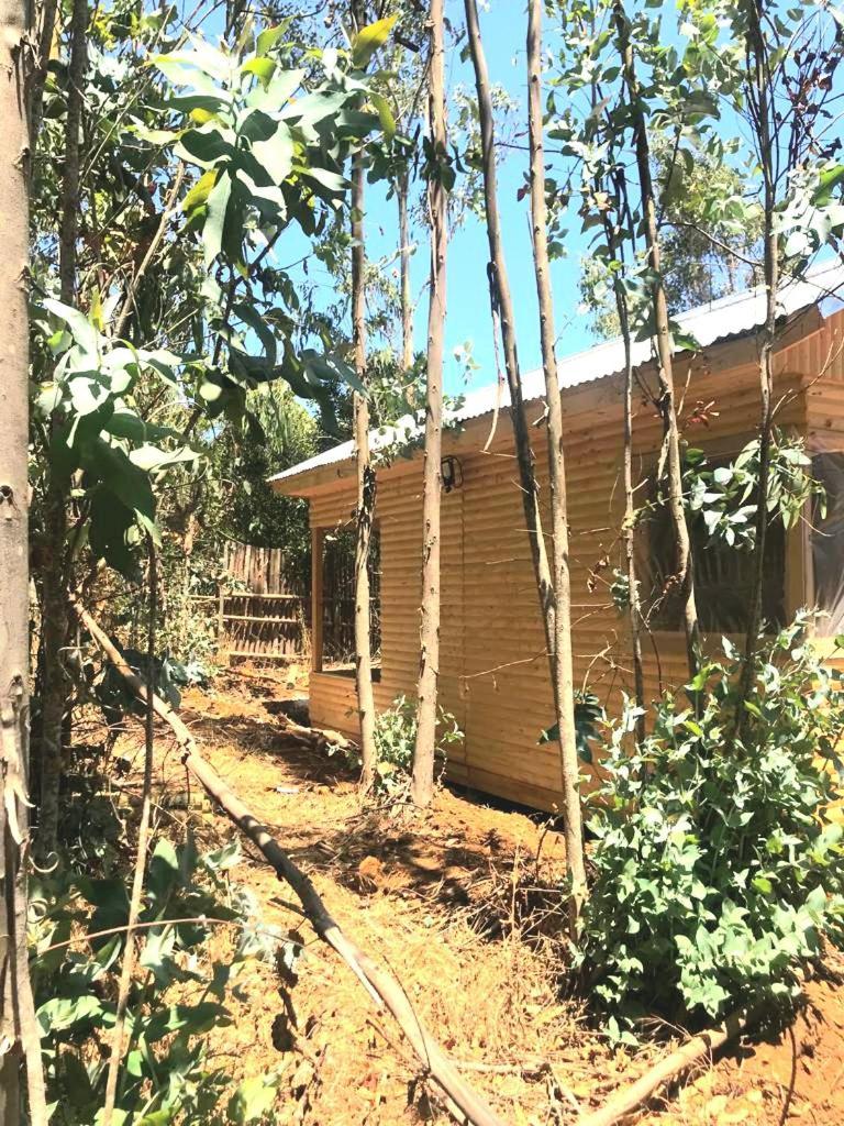 Apartamento Encantos Del Mar
